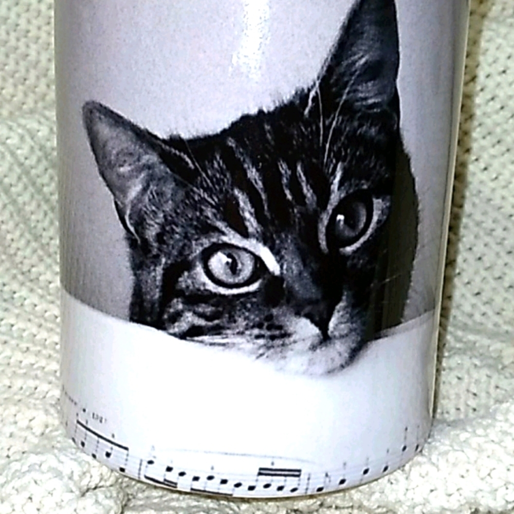 Orca Cat mug